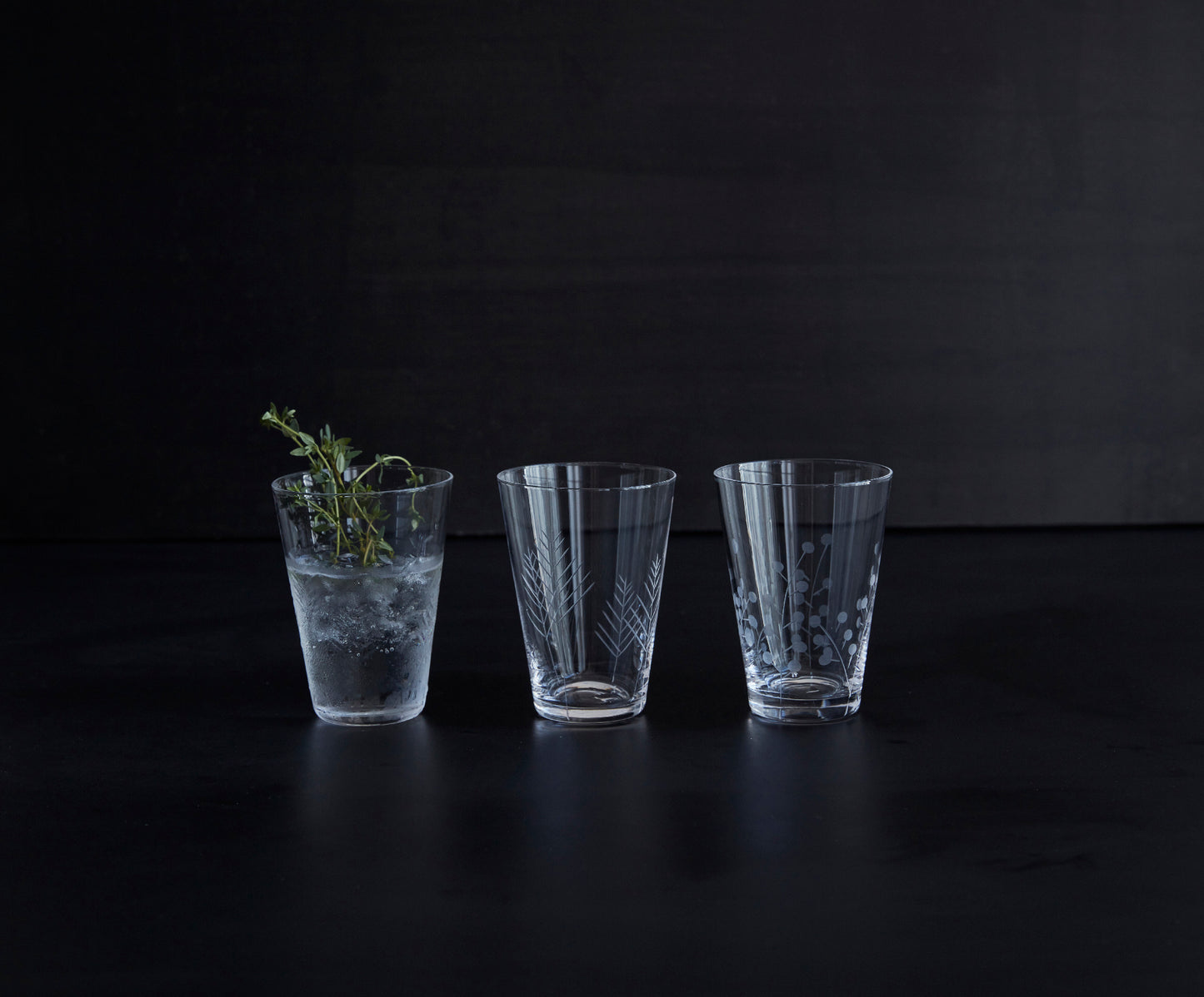 Sienna Etched Water Glassware Set Canvas Home Barware, Clear, Etched, Etched Floral, Etched Foliage, Etched Glass, Etched Glassware, Glass, Glassware, Sienna, Tumbler, Water Glass, Water Glassware