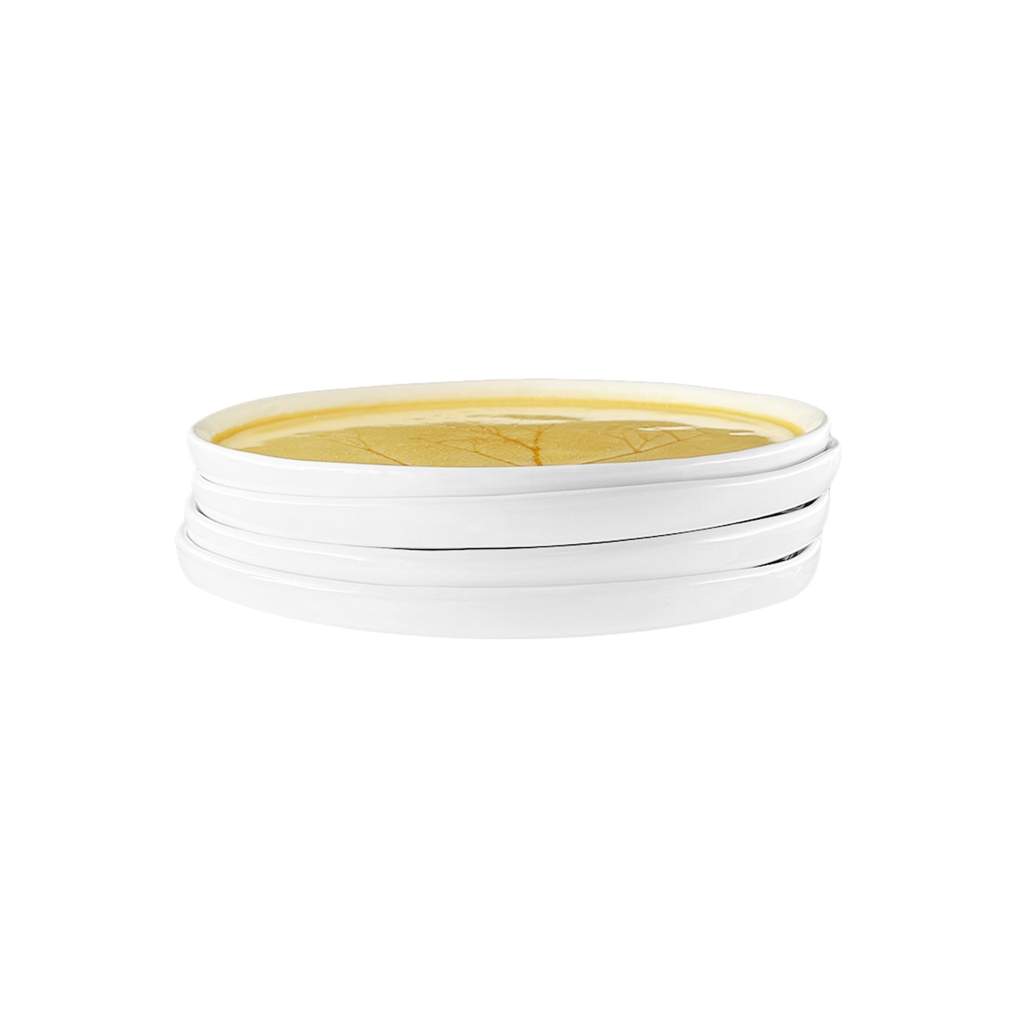 Meadow Yellow Porcelain Medium Plate, Set of 4