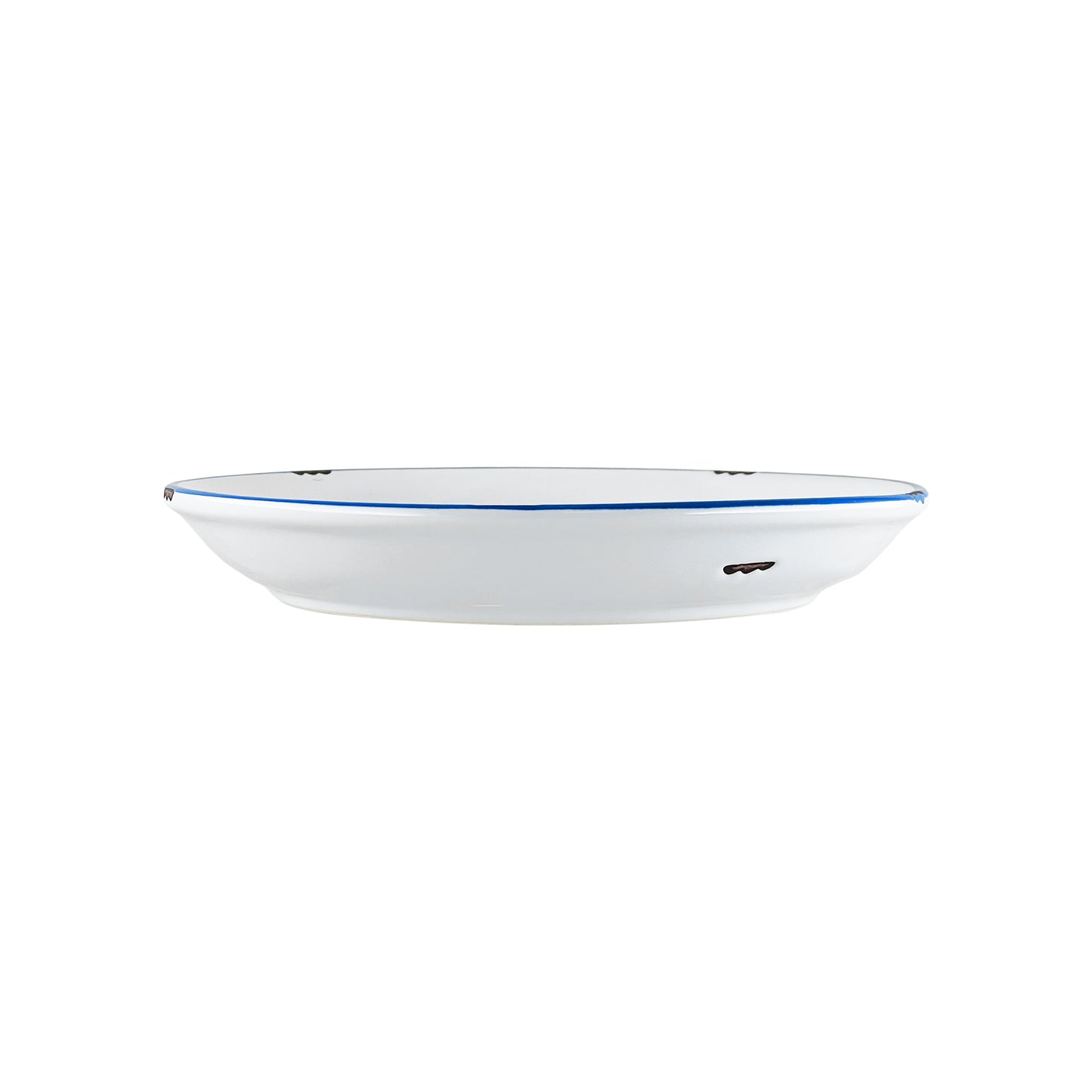 Tinware Salad Plate in White/Blue  - Set of 4