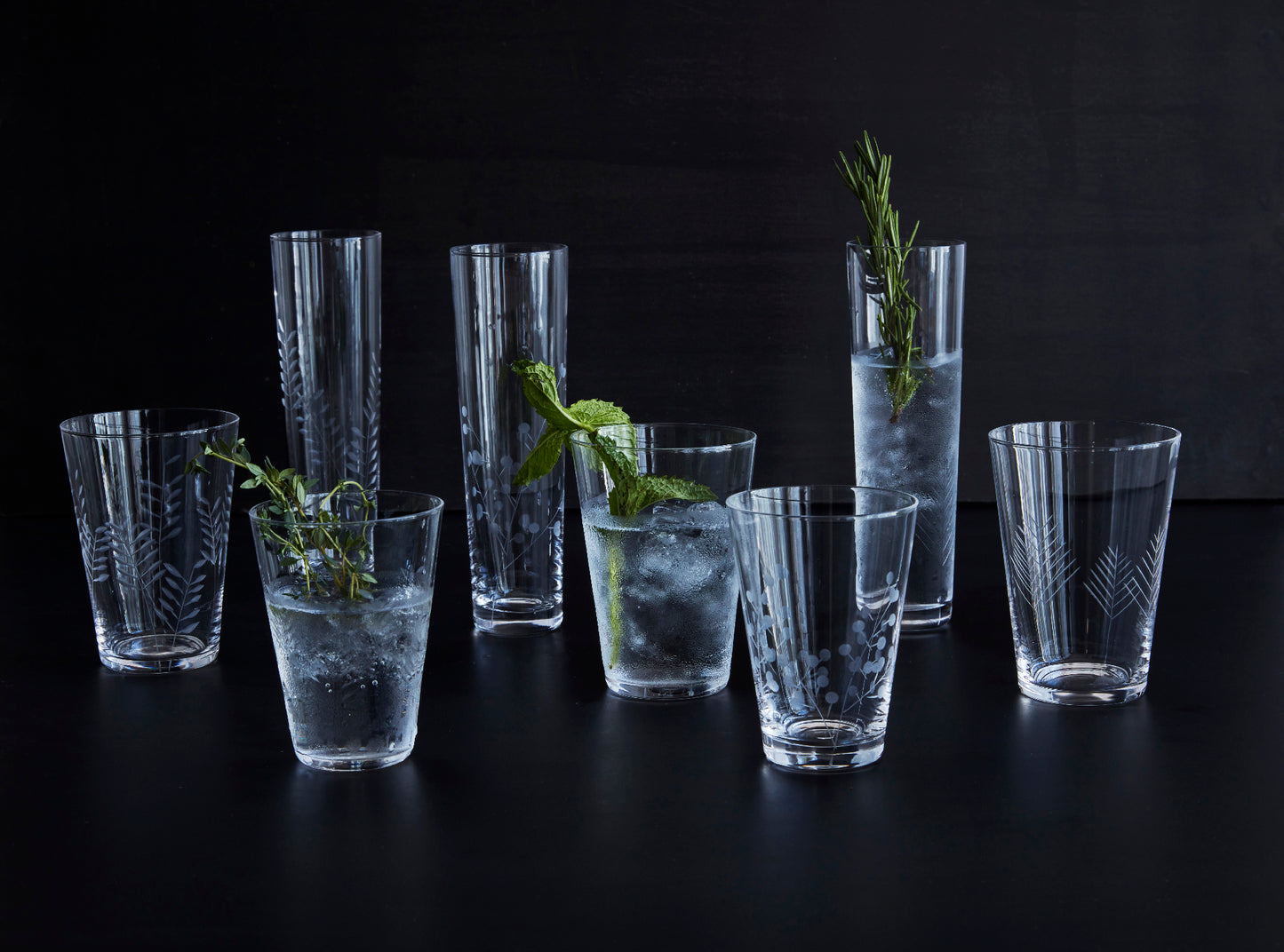 Sienna Etched Water Glassware Set Canvas Home Barware, Clear, Etched, Etched Floral, Etched Foliage, Etched Glass, Etched Glassware, Glass, Glassware, Sienna, Tumbler, Water Glass, Water Glassware