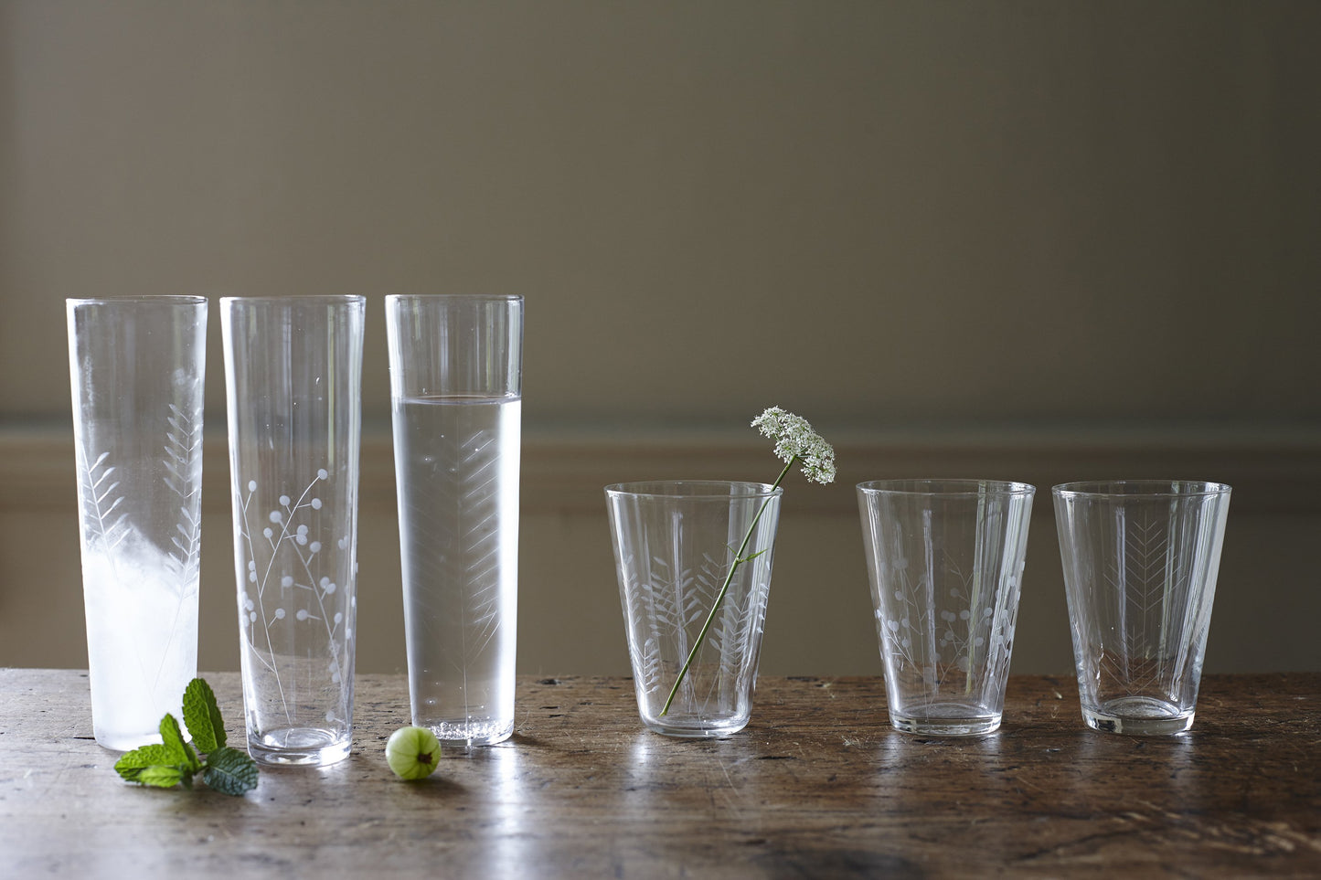 Sienna Etched Water Glassware Set Canvas Home Barware, Clear, Etched, Etched Floral, Etched Foliage, Etched Glass, Etched Glassware, Glass, Glassware, Sienna, Tumbler, Water Glass, Water Glassware