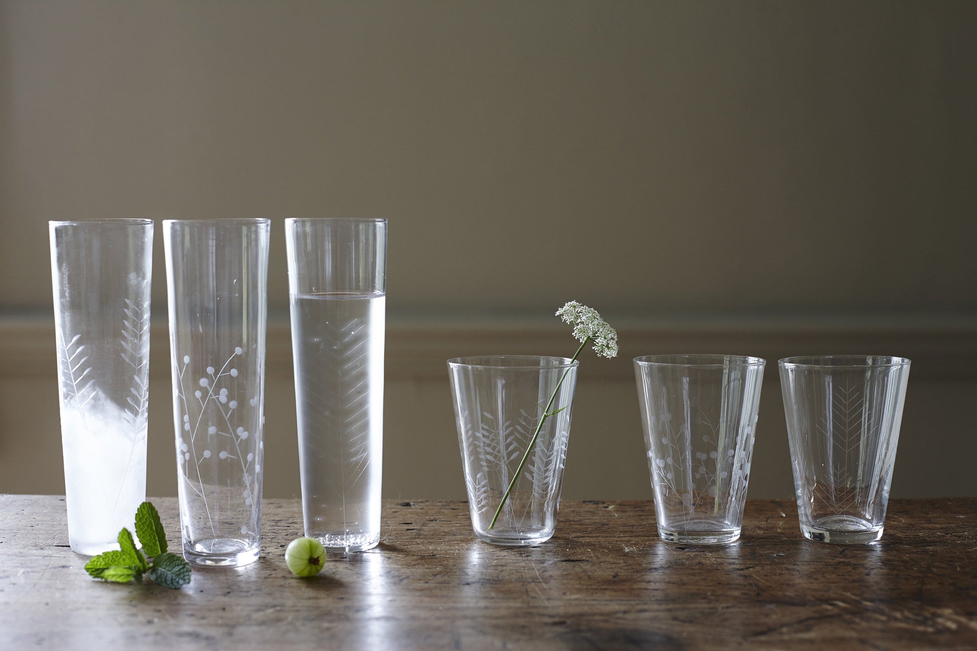 Sienna Etched Water Glassware Set Canvas Home Barware, Clear, Etched, Etched Floral, Etched Foliage, Etched Glass, Etched Glassware, Glass, Glassware, Sienna, Tumbler, Water Glass, Water Glassware